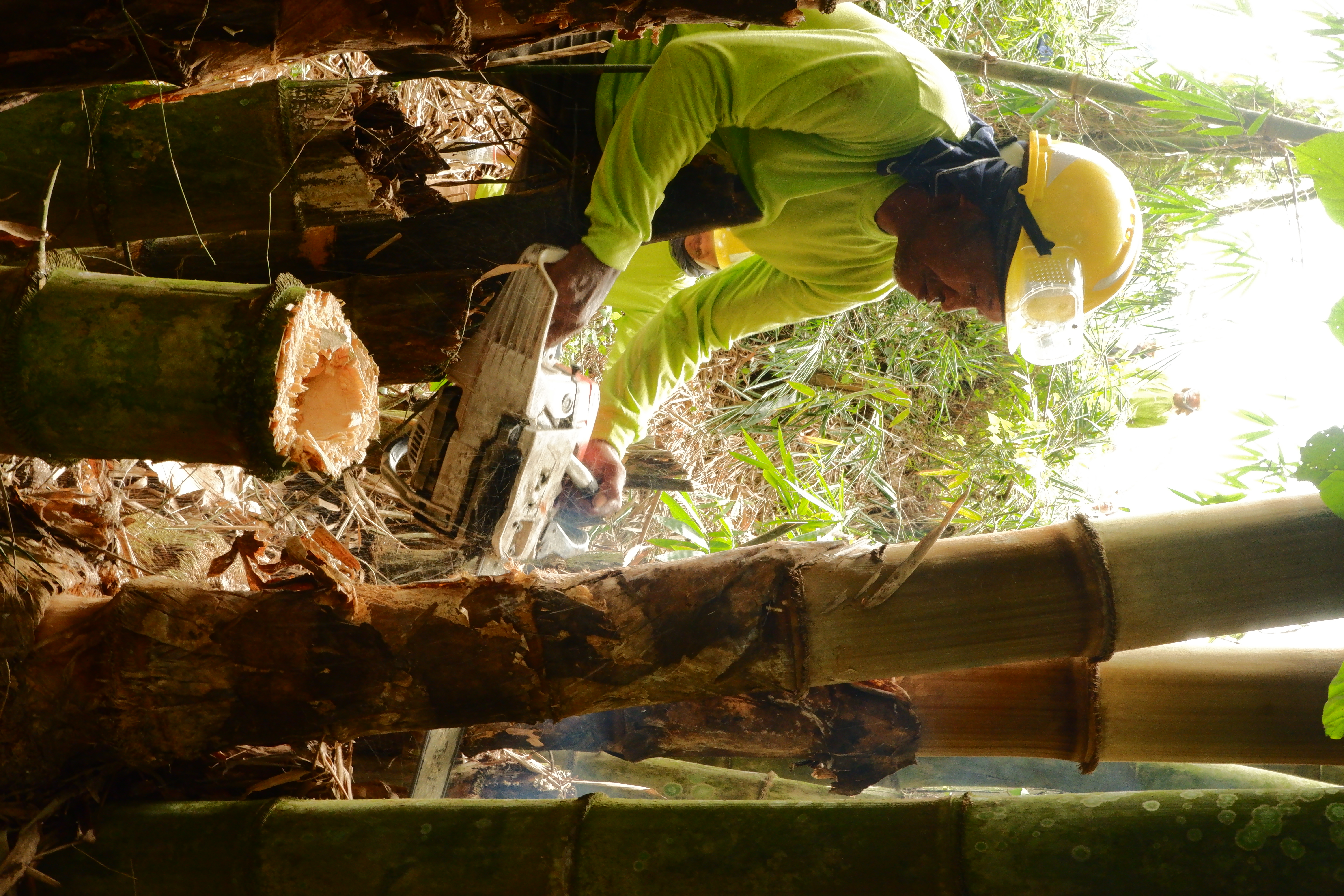 Sustainable Harvesting